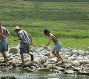 Yangtze Pictures