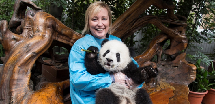 panda keeping center