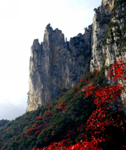 goddess-peak