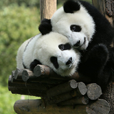 Chengdu