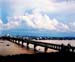 bridge_wuhan4