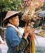peddler