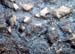 grotesque_stone14