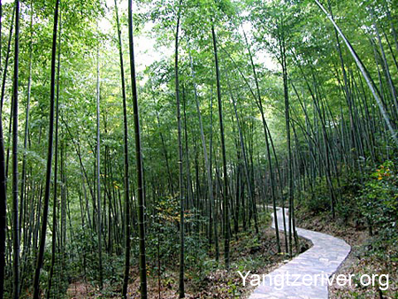 huangshan